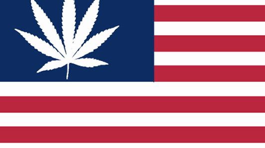 amerika legalizacija