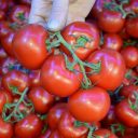 Zašto paradajz više nema ukus kao ranije, istraživanje otkrilo razloge
