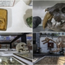 Egipatski geološki muzej: Prvi te vrste na Bliskom istoku i afričkom kontinentu