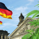 Njemačka: Parlament odobrio legalizaciju kanabisa za ličnu upotrebu