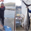 Mali zaljev, veliki ulov: Mještani Neuma na štap izvukli tunu tešku 85 kg