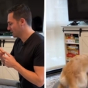 Milioni pregleda: Pokazao kako uči svoga psa da sluša naredbe, video je hit