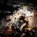 Nove informacije iz Turske: Ispod ruševina spašeno 6.445 ljudi
