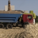 EU uvodi carine na uvoz ruskog i bjeloruskog žita