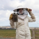 Djevojka iz Tunisa sama proizvodi pčelinji otrov kao lijek protiv alergija i reume