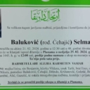 U nedjelju posljednji ispraćaj Selme Baluković koju je usmrtio partner u Lipnici