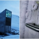 Evo šta se čuva u arktičkom “sefu sudnjeg dana” u koji je stigla i pošiljka iz BiH