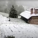 U Hrvatskoj već zabijelilo, snijeg prekrio zelenilo