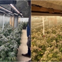 U Prijedoru oduzeto oko 1,2 kilograma kokaina, pronađena laboratorija i više kilograma marihuane
