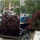 Tuzla: Uslijed nevremena stablo se obrušilo na parkirani automobil