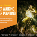 Jednim klikom posadite drvo! Pridružite se Johnnie Walker akciji pošumljavanja “Keep Walking. Keep Planting.”