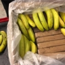 Šverc kokaina skrivenog u bananama: Policija otkrila šest miliona eura vrijednosti droge u Njemačkoj