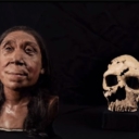 Naučnici učinili rekonstrukciju lica neandertalke koja je živjela prije 75.000 godina