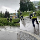 Posljedice nevremena: Stablo se obrušilo na saobraćajnicu, tuzlanski vatrogasci brzo reagovali