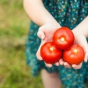 Evo kako pravilno čuvati paradajz: Iskusne domaćice znaju trik kako da bude svjež i do dvije nedjelje
