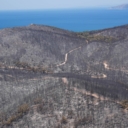 Požar opustošio šumsko područje u Izmiru: Uništena površina od 350 hektara